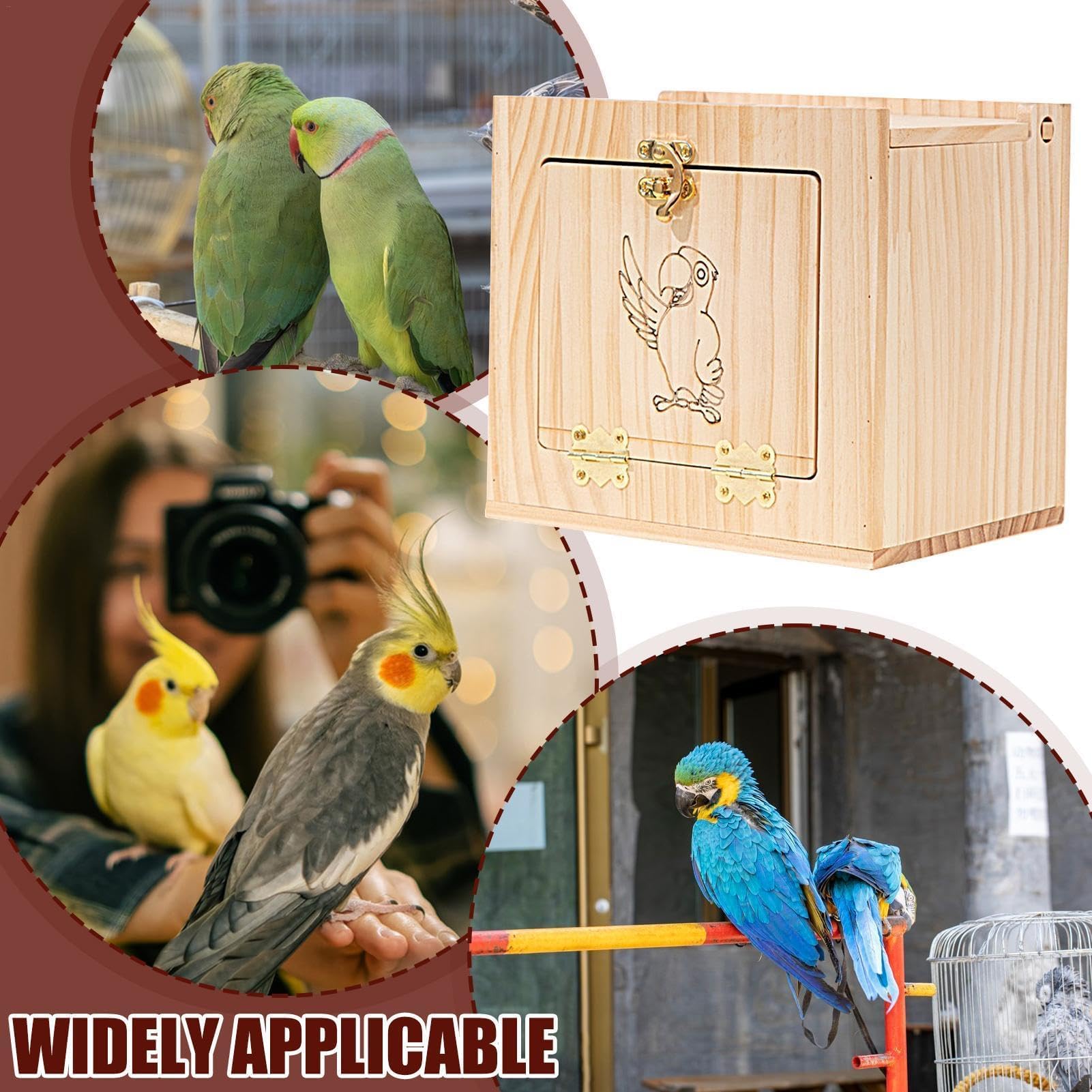 Amazon.co.jp: オカメインコの巣箱、鳥の飼育箱 - 大型鳥飼育箱